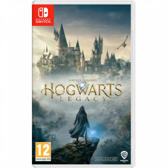 Игра Hogwarts Legacy [Nintendo Switch, русские субтитры] в Воронеже