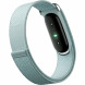 Фитнес-браслет Google Fitbit Air (Серо-голубой/Fog) в Воронеже