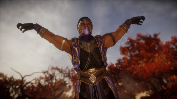 Игра Mortal Kombat 11 [Nintendo Switch, русские субтитры] в Воронеже